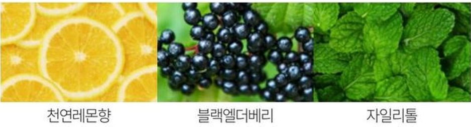 천연레몬향 · 블랙엘더베리 · 자일리톨