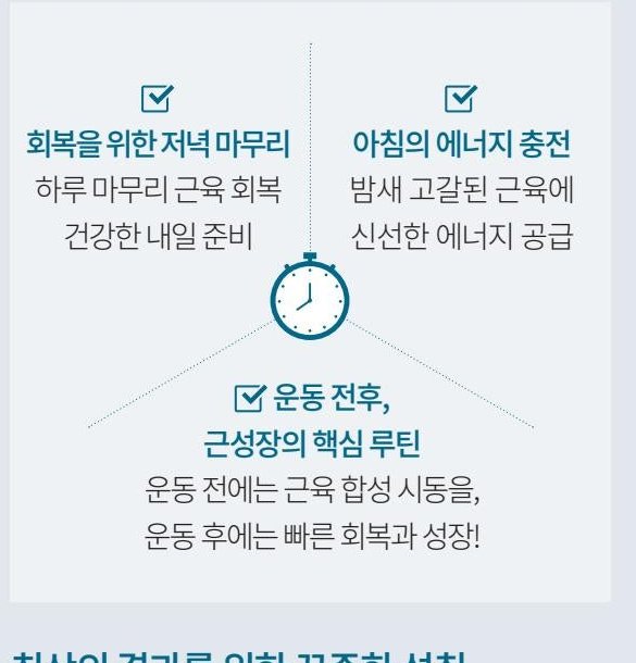 코어 아미노 드링크와 건강루틴 만들기 — 회복을 위한 저녁 마무리, 아침의 에너지 충전, 운동 전후 근성장의 핵심 루틴.