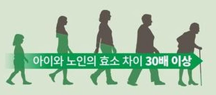 아이와 노인의 효소 차이 30배 이상.