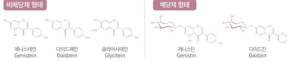 비배당체 형태(제니스테인 Genistein · 다이드제인 Daidzein · 글라이시테인 Glycitein)와 배당체 형태(제니스틴 Genistin · 다이드진 Daidzin)의 구조식.