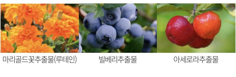 마리골드꽃추출물(루테인) · 빌베리추출물 · 아세로라추출물.