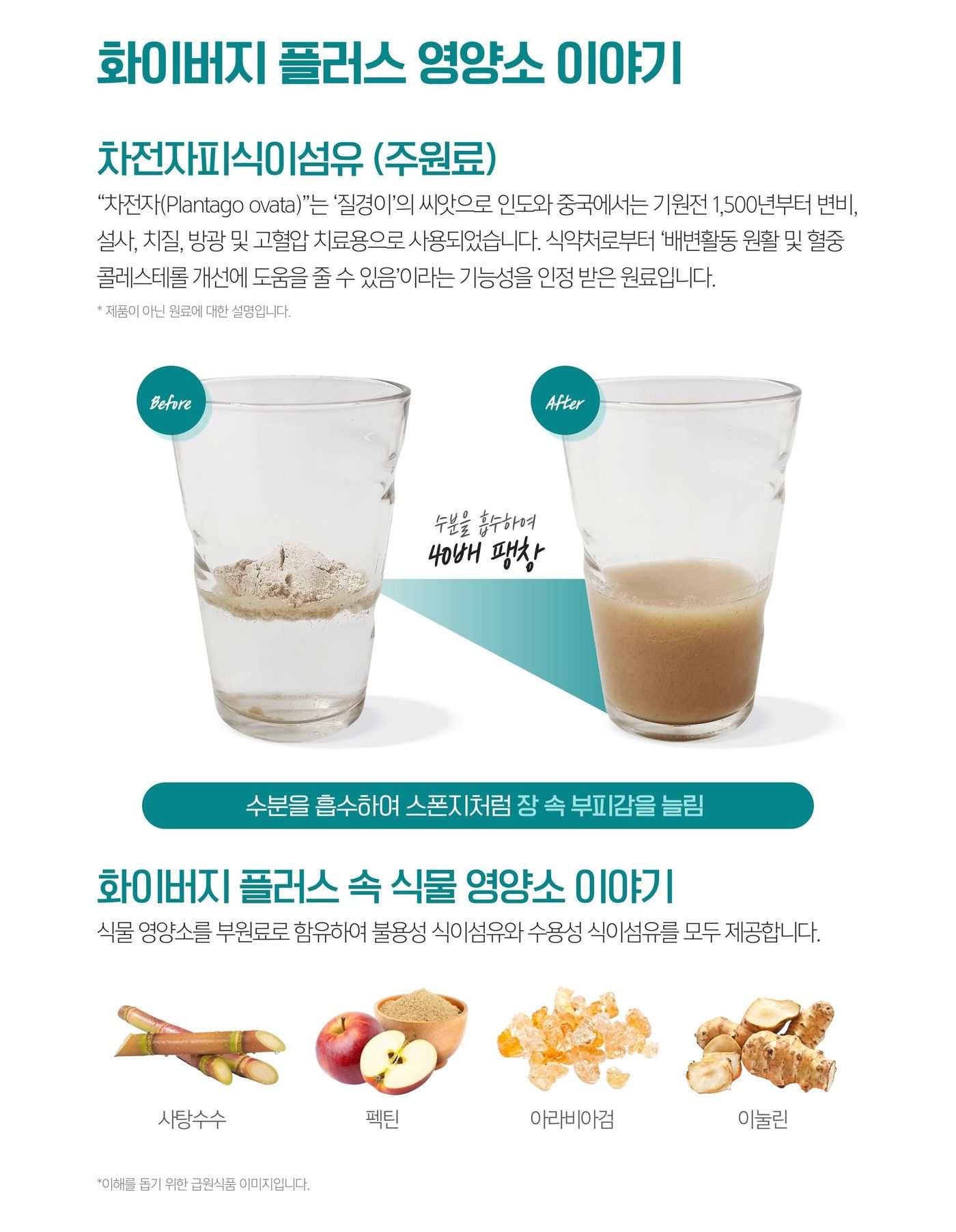 화이버지 플러스 영양소 이야기 — 차전자피식이섬유(주원료)와 화이버지 플러스 속 식이섬유 이야기.