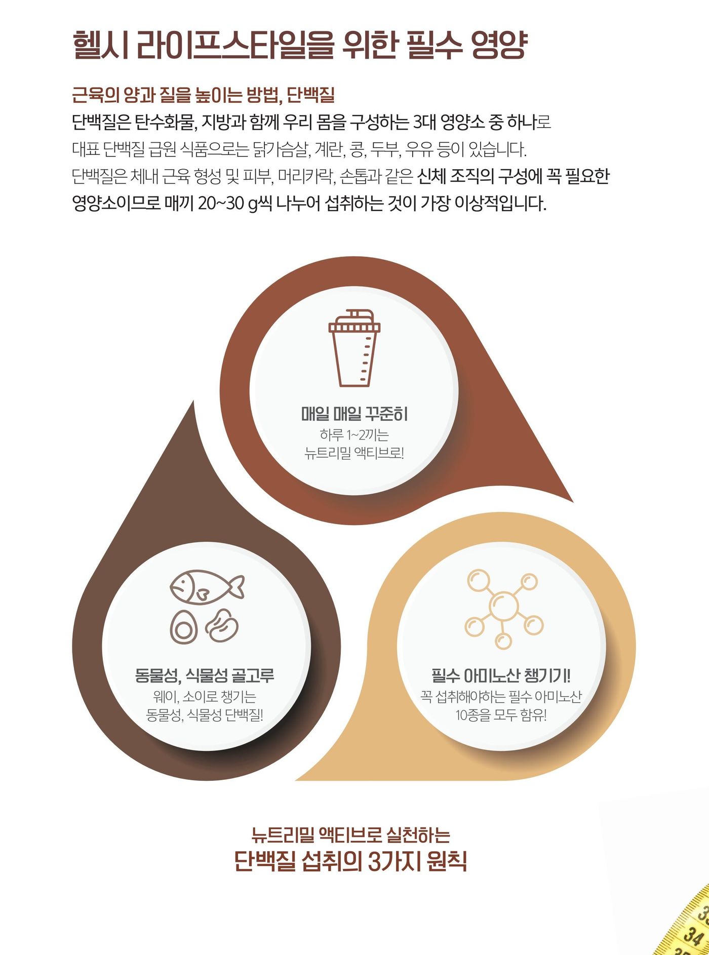 헬시 라이프스타일을 위한 필수 영양 — 근육의 양과 질을 높이는 방법, 단백질. 단백질은 탄수화물, 지방과 함께 우리 몸을 구성하는 3대 영양소 중 하나로 대표 급원 식품은 닭가슴살, 계란, 콩, 두부, 우유 등이 있습니다. 단백질은 체내 근육 형성 및 피부, 머리카락, 손톱과 같은 신체 조직의 구성에 꼭 필요한 영양소이므로 매끼 20~30 g씩 나누어 섭취하는 것이 가장 이상적입니다. 뉴트리밀 액티브로 실천하는 단백질 섭취의 3가지 원칙 — 매일 매일 꾸준히(하루 1~2끼는 뉴트리밀 액티브로), 동물성 · 식물성 골고루(웨이, 소이로 챙기는 동물성 · 식물성 단백질), 필수 아미노산 챙기기(꼭 섭취해야 하는 필수 아미노산 10종을 모두 함유).