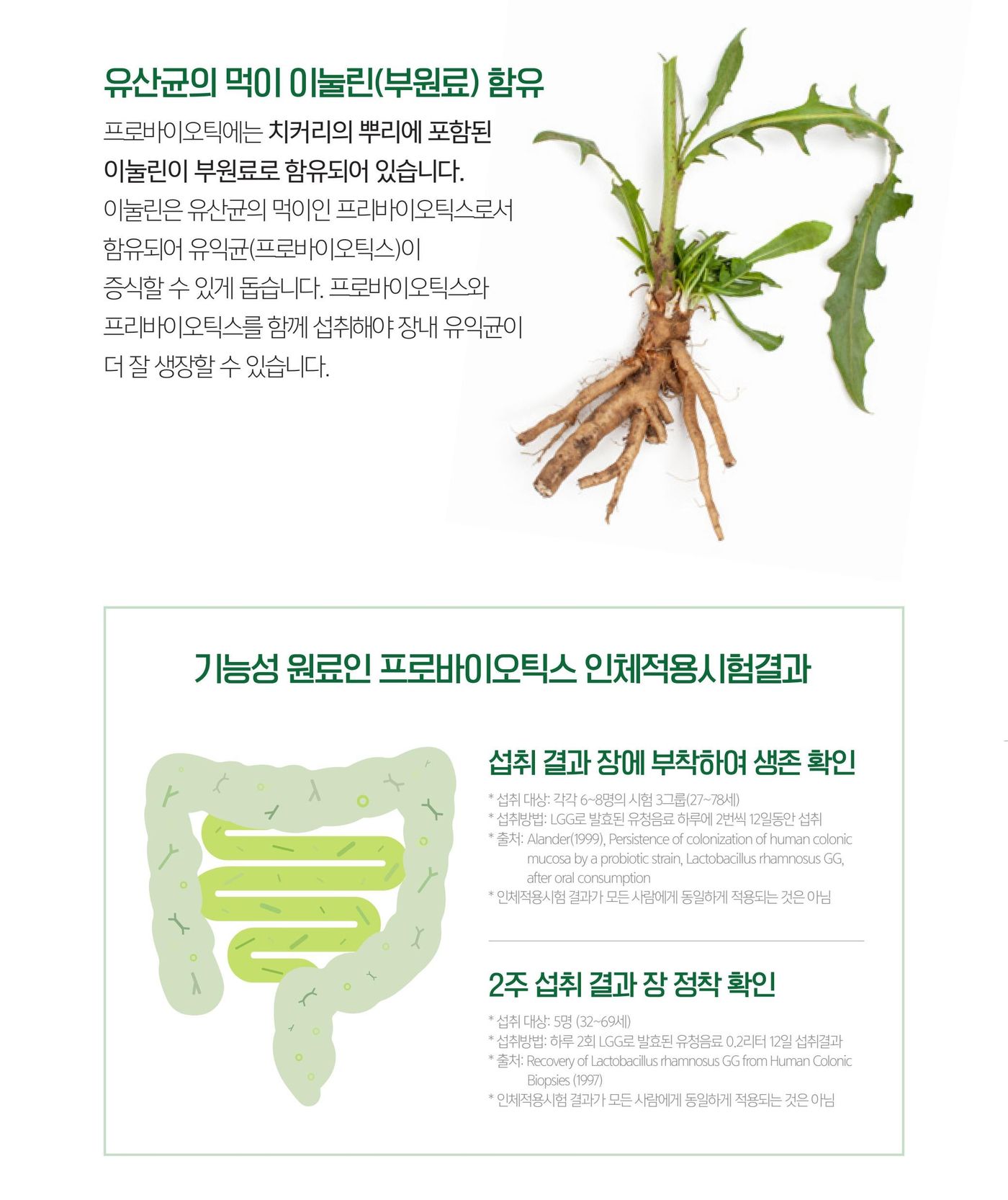 유산균의 먹이인 이눌린을 부원료로 함유. 기능성 원료인 프로바이오틱스의 인체적용시험 결과.