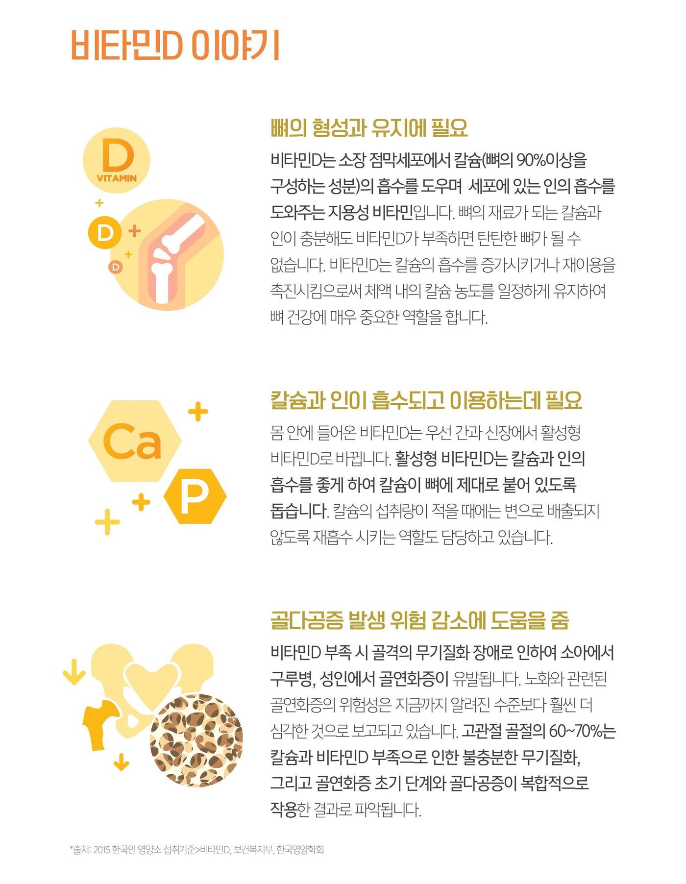 비타민 D 이야기 — 칼슘과 인의 흡수, 뼈의 형성과 유지에 필요한 까닭.